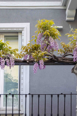 20131+Via+Andrea+Maria+Ampère,+78,+20131+Milano+MI-P2a-glicinimilano_it969-1