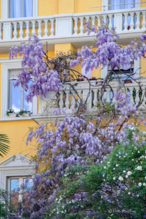 20131+Via+Antonio+Bazzini,+15,+20131+Milano+MI-P1a-glicinimilano_it