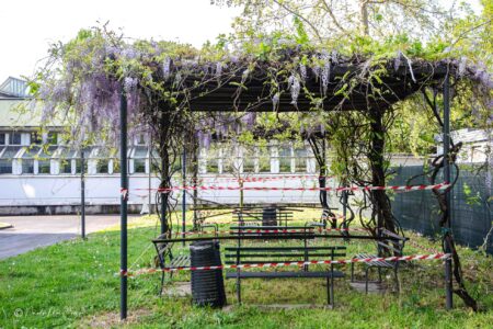 20133+Via+Giovanni+Celoria,+26,+20133+Milano+MI-P2a-glicinimilano_it