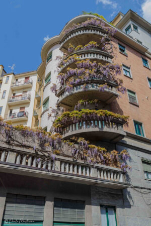 20131+Giovanni,+Via+Giovanni+Paisiello,+24,+20131+Milano+MI-P2b-glicinimilano_it