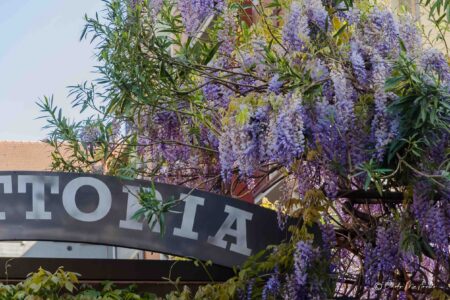 20131+Via+Francesco+Lomonaco,+13,+20131+Milano+MI-P1c-glicinimilano_it