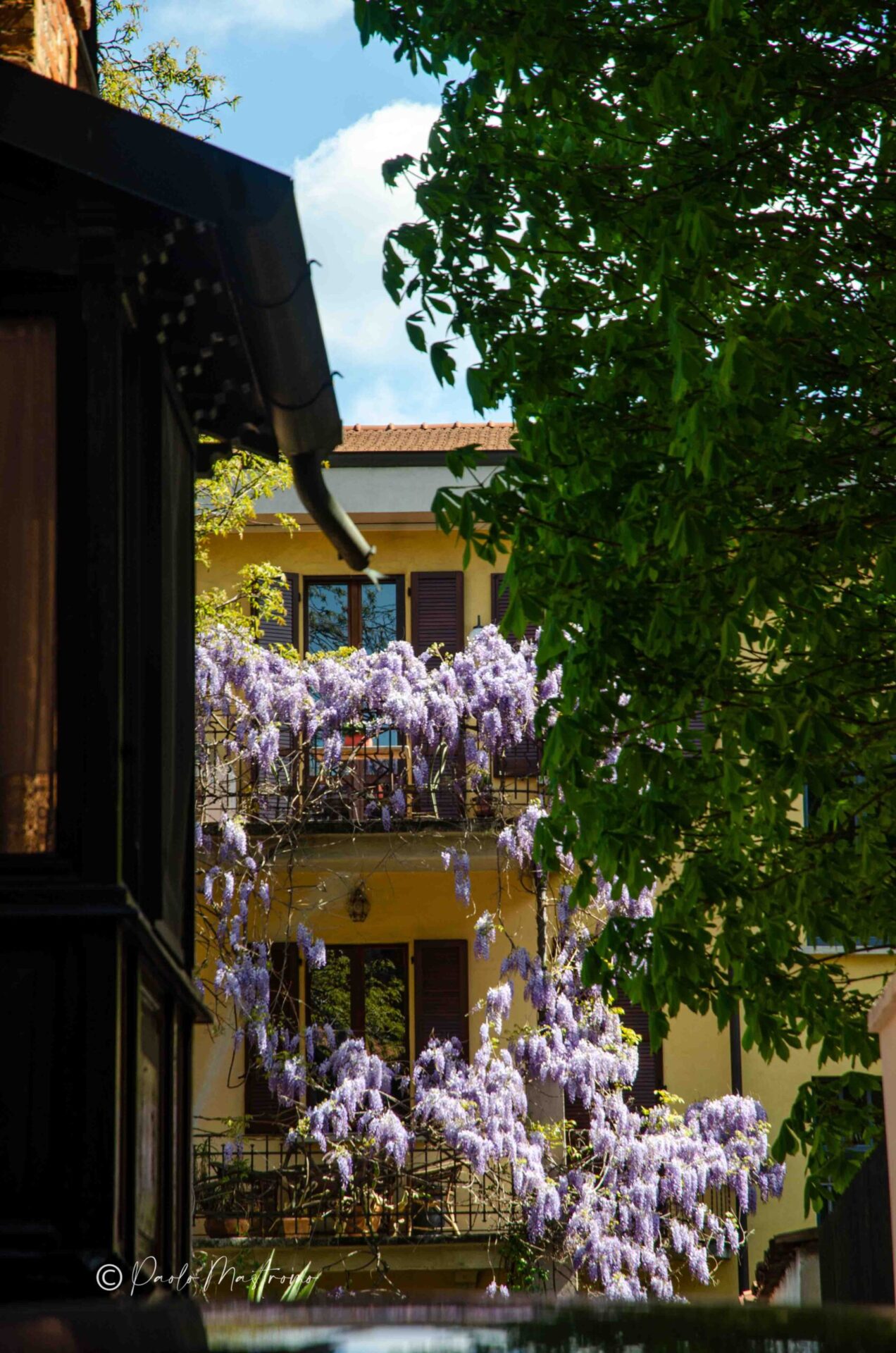 20131+Via+Giovanni+Ricordi,+6,+20131+Milano+MI-P1a-glicinimilano_it