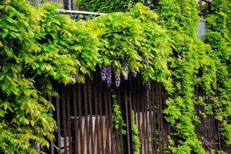 20133+Via+Camillo+Golgi,+21,+20133+Milano+MI-P1a-glicinimilano_it