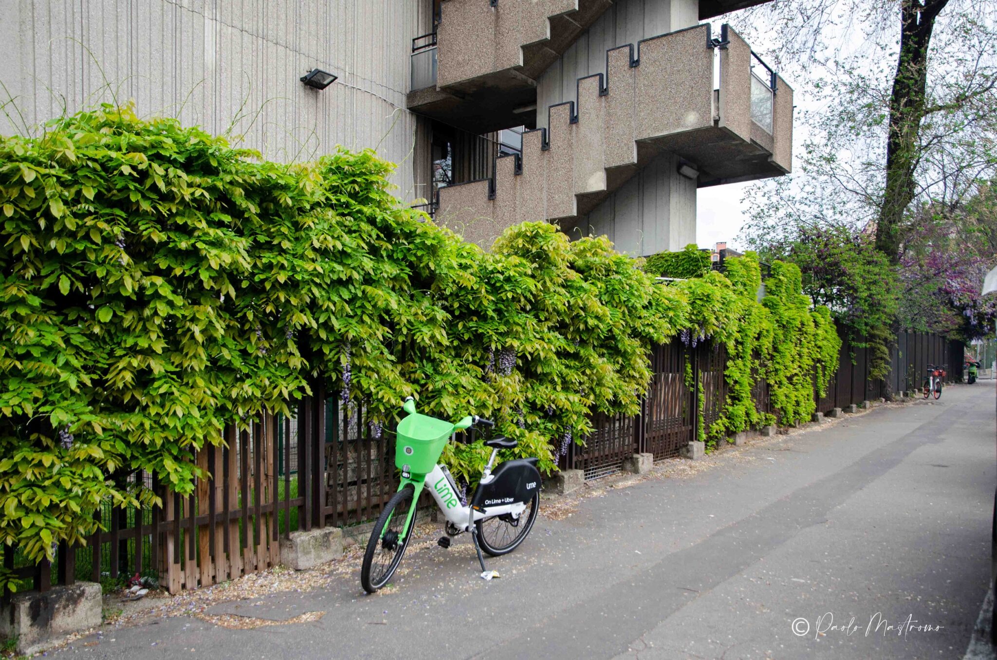 Golgi Camillo 21 (via) - GliciniMilano.it