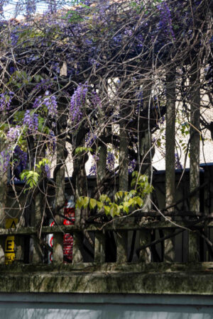 20133+Via+Giuseppe+Ponzio,+8,+20133+Milano+MI-P2a-glicinimilano_it