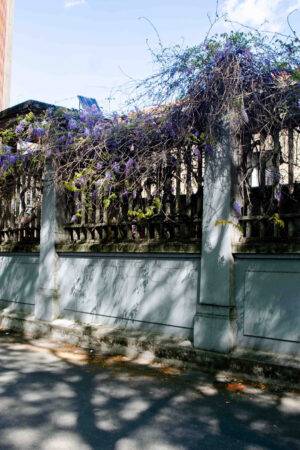 20133+Via+Giuseppe+Ponzio,+8,+20133+Milano+MI-P3a-glicinimilano_it