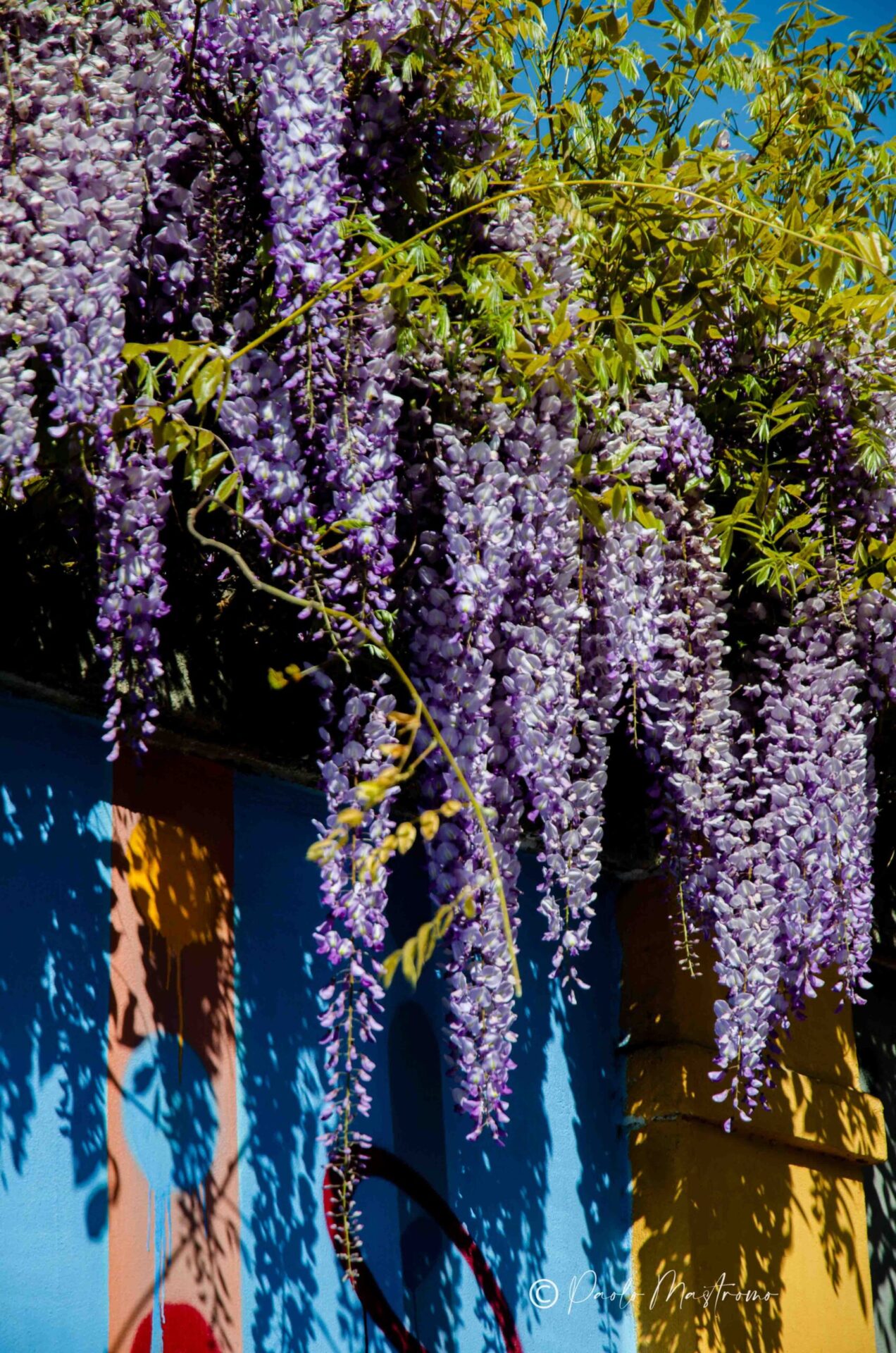 20133+Via+Giuseppe+Zanoia,+5,+20133+Milano+MI-P1a-glicinimilano_it