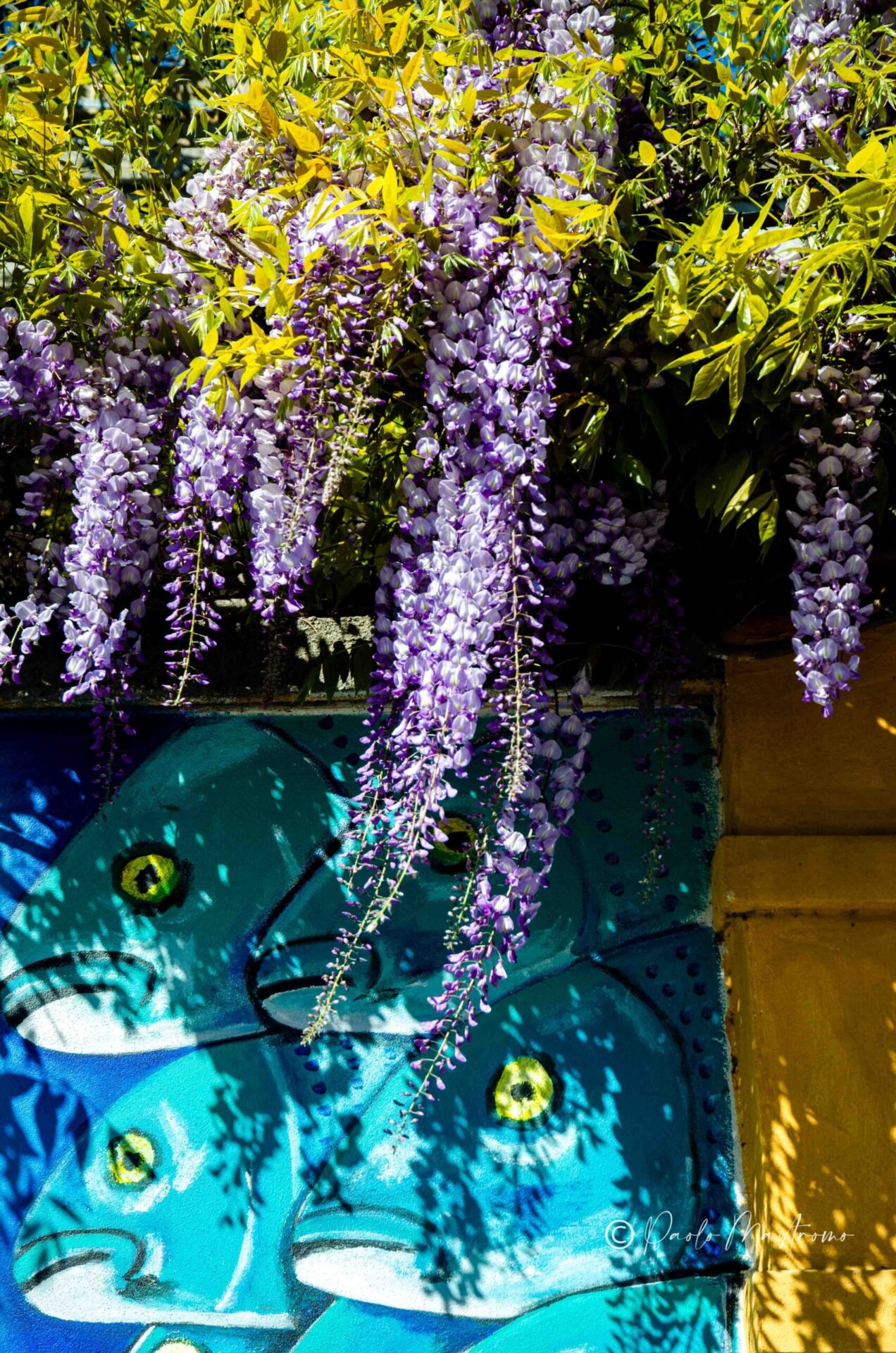 20133+Via+Giuseppe+Zanoia,+5,+20133+Milano+MI-P4a-glicinimilano_it